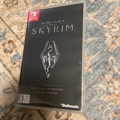 Switch ゲームソフト　スカイリム　Skyrim