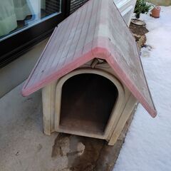 犬小屋