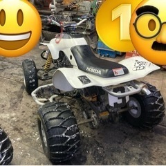 TRX300 SPARKS RACING フルチューン レース 海乗り。