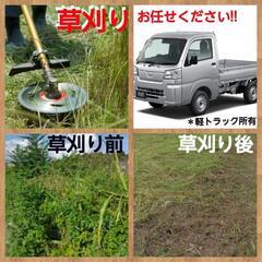 草刈り【伐採OK！】空き家の草刈り、空き土地の草管理、畑、庭、道路沿いの草、家周り、などなどの画像