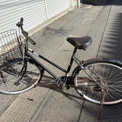 自転車 