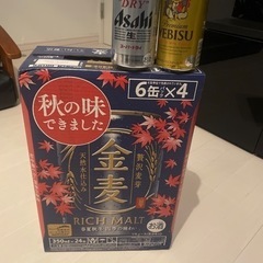ビール 金麦1箱＋2本