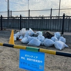 堺浜ビーチクリーン 初心者大歓迎
