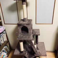 キャットタワー ハンモック付き