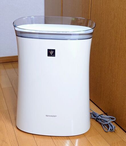花粉対策❗シャープ空気清浄機《FU-J50》プラズマクラスター7000搭載／2019年製♻️ほぼ新品