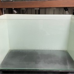 アクアリウム　ガラス水槽　60cm水槽　バックスクリーン付き‼️