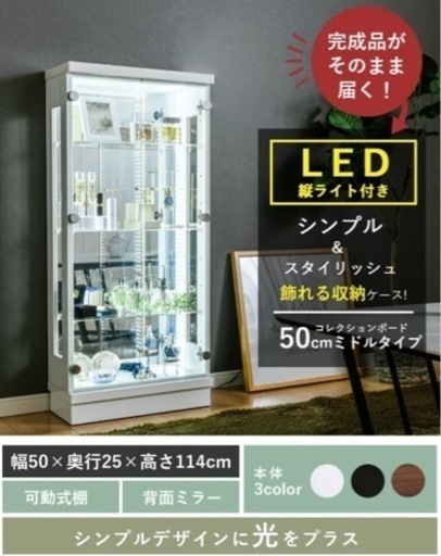 コレクションケース　ホワイト