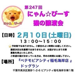 2月10日(土)🌸にゃん☆ぴーす猫の譲渡会🌸「ペテモピアシティ稲毛海岸店」店内ドッグランの画像