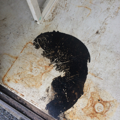 △ イナバ物置 物置 倉庫 収納庫 MG-16EB型 カギ無し ペンキ汚れ・サビ