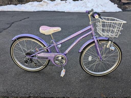 22型　子供自転車　女の子　紫色　2019年購入