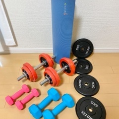 アイロテック　ダンベルセット　5kg×4 2.5kg×4 1.2...