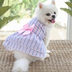 【新品】犬服 ワンピース Sサイズ