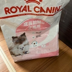 新聞紙と猫エサ