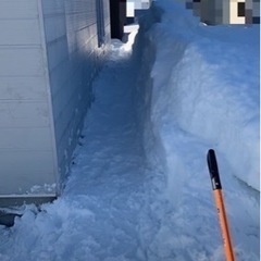 ※旭川市内や近郊の方除雪いたしますm(_ _)m