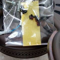 ★ジモティ割あり★  シーリングファン 430L   動作確認／クリーニング済み TJ3294