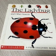 The Ladybug and Other Insects てん...