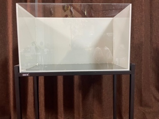 60センチ　白水槽