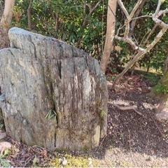 庭の石　