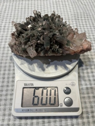 ガーデンクラスター 藻水晶 パワーストーン - その他 