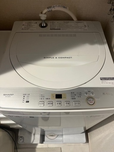 【美品】SHARP洗濯機　2019年モデル