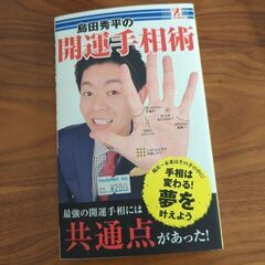 島田秀平の開運手相術