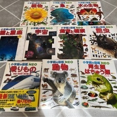 小学館の図鑑 Neo 10冊セット