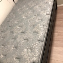 【未使用】シーリー　プリメーラDX セミダブル