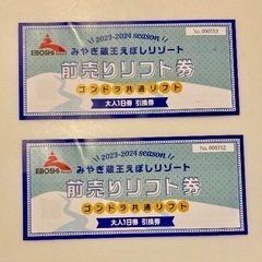 【えぼしリゾートスキー場】1日リフト券【2枚】(2023-2024)