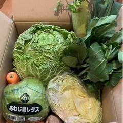 野菜セット(デカ盛り)→2セット限り、本日受付のみ