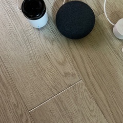 Google Nest miniとremoteセット