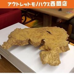 瘤材 瘤杢 瘤板 天然木 樺 白樺 楡 ニレ エルム 65cm×60cm