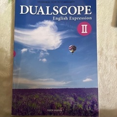 【ネット決済・配送可】DUALSCOPE II