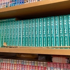 あした天気になあれの中古が安い！激安で譲ります・無料であげます｜ジモティー