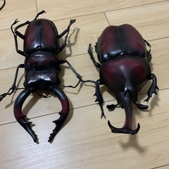 BIGカブトムシ玩具