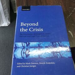 Beyond the Crisis: The Governanc...