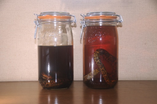 マムシ酒 2瓶 ウイスキー 昭和の時代の物です。