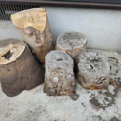 ツバキ　切り株　丸太　椿　木材　薪割り台