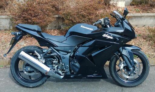 ニンジャ250R　走行22000km　(No.2072)