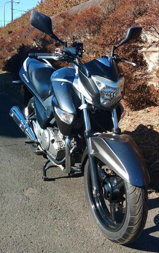 GSR250　GJ55　(No.2077)