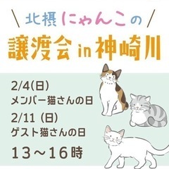 猫譲渡会in淀川区神崎川