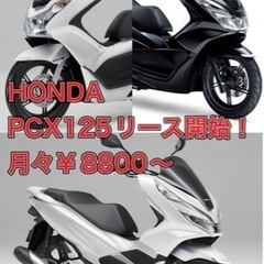 「早い者勝ち」  PCX 月々￥8.800〜貸します！！