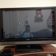 中古】北海道のプラズマテレビを格安/激安/無料であげます・譲ります