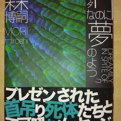 【ネット決済・配送可】『ηなのに夢のよう　DREAMILY IN...