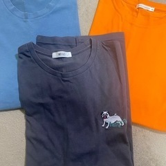 メンズ半袖Tシャツ3枚