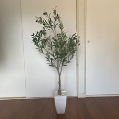 【ネット決済】観葉植物(オリーブ フェイクグリーン)