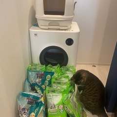 デオトイレ使用品本体+シート9袋半+猫砂3袋