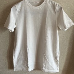 白Tシャツ(S) 新品
