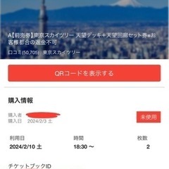 【ネット決済・配送可】【本日】2/10土　スカイツリーチケット　...