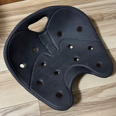 健康グッズ BackJoy(バックジョイ) 骨盤サポートシート ...