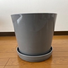 IKEA 植木鉢